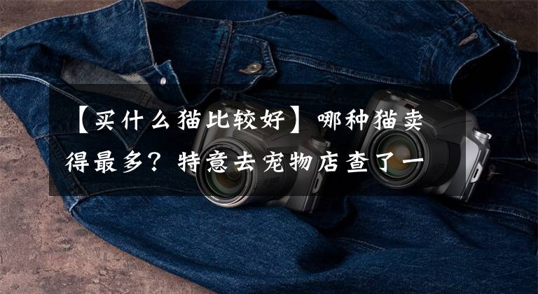 【买什么猫比较好】哪种猫卖得最多？特意去宠物店查了一下，发现这7种是最受欢迎的文章配图