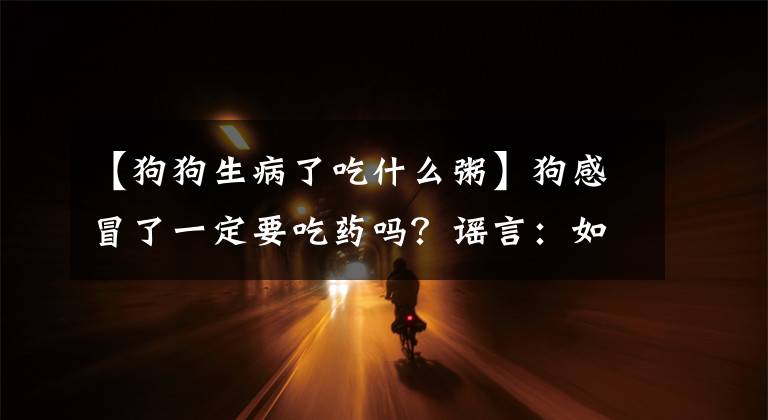 【狗狗生病了吃什么粥】狗感冒了一定要吃药吗？谣言：如果不严重的话，真的没有必要文章配图
