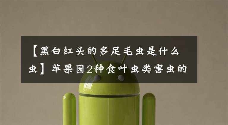 【黑白红头的多足毛虫是什么虫】苹果园2种食叶虫类害虫的诊断和防治实用技术文章配图