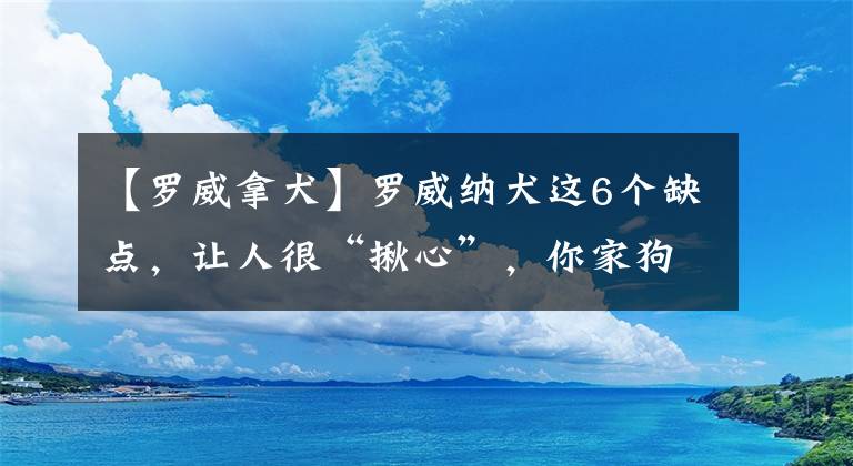 【罗威拿犬】罗威纳犬这6个缺点，让人很“揪心”，你家狗狗占几个？