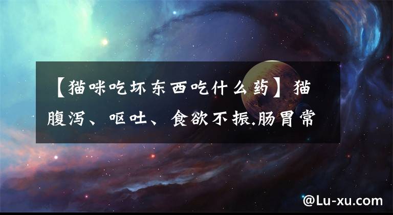 【猫咪吃坏东西吃什么药】猫腹泻、呕吐、食欲不振.肠胃常用药有哪些注意事项？文章配图