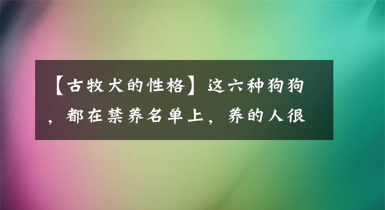 【古牧犬的性格】这六种狗狗，都在禁养名单上，养的人很多