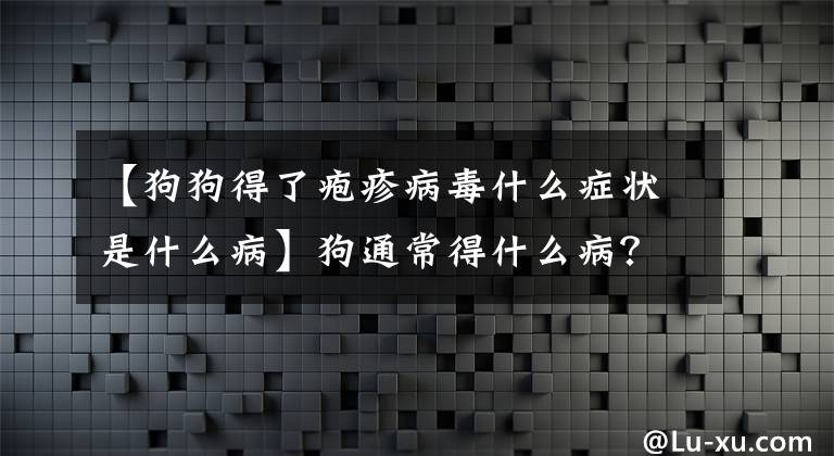 【狗狗得了疱疹病毒什么症状是什么病】狗通常得什么病？不同年龄段狗经常患的疾病不同~文章配图