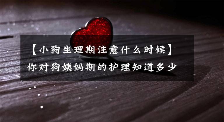 【小狗生理期注意什么时候】你对狗姨妈期的护理知道多少？文章配图