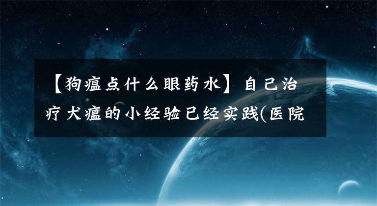 【狗瘟点什么眼药水】自己治疗犬瘟的小经验已经实践(医院不可能给你24小时的药)文章配图