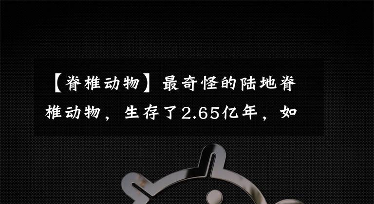 【脊椎动物】最奇怪的陆地脊椎动物，生存了2.65亿年，如今每年被人吃掉32亿只