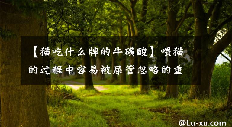 【猫吃什么牌的牛磺酸】喂猫的过程中容易被屎管忽略的重要元素——牛磺酸文章配图
