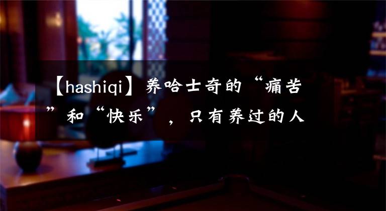 【hashiqi】养哈士奇的“痛苦”和“快乐”，只有养过的人懂