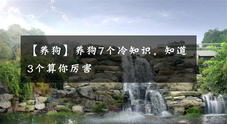 【养狗】养狗7个冷知识，知道3个算你厉害文章配图