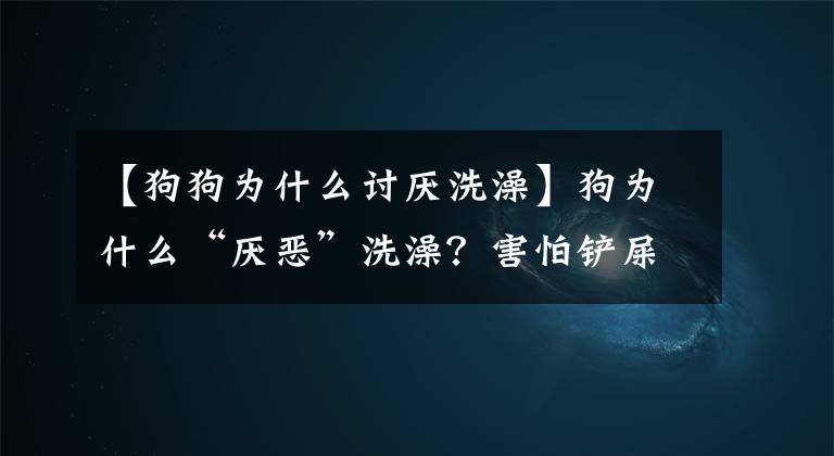 【狗狗为什么讨厌洗澡】狗为什么“厌恶”洗澡？害怕铲屎官淹死只是原因之一文章配图