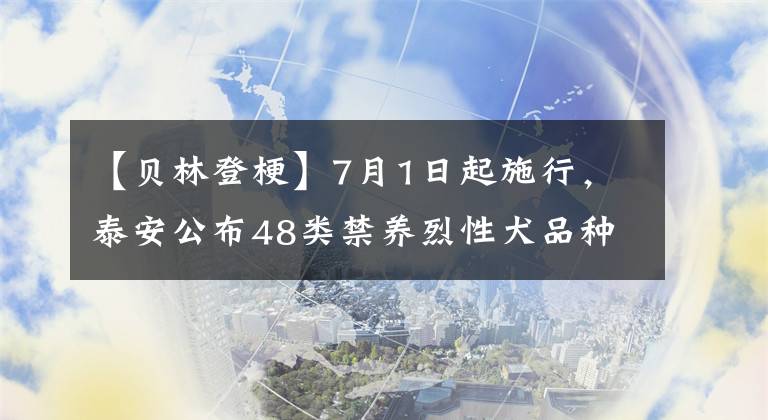 【贝林登梗】7月1日起施行，泰安公布48类禁养烈性犬品种名录