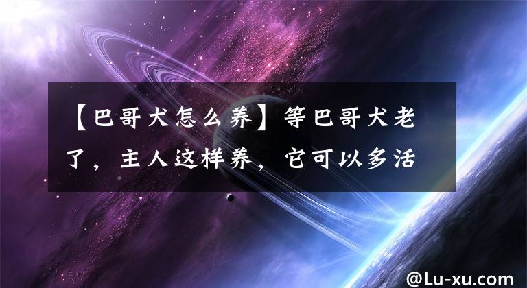 【巴哥犬怎么养】等巴哥犬老了，主人这样养，它可以多活几年