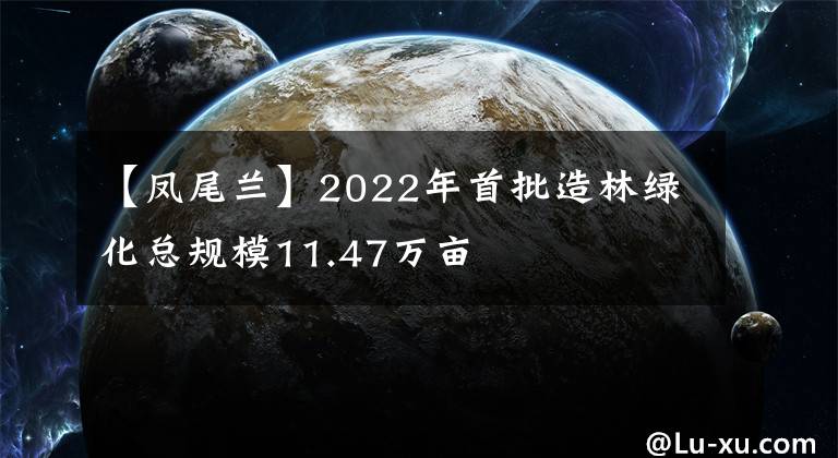 【凤尾兰】2022年首批造林绿化总规模11.47万亩