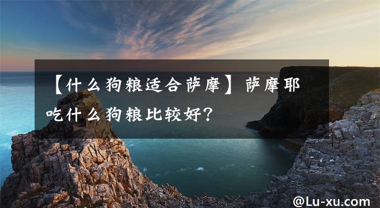 【什么狗粮适合萨摩】萨摩耶吃什么狗粮比较好？文章配图