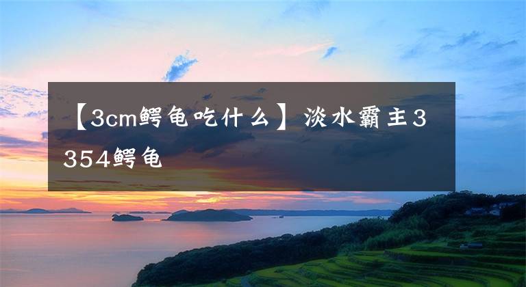【3cm鳄龟吃什么】淡水霸主3354鳄龟文章配图
