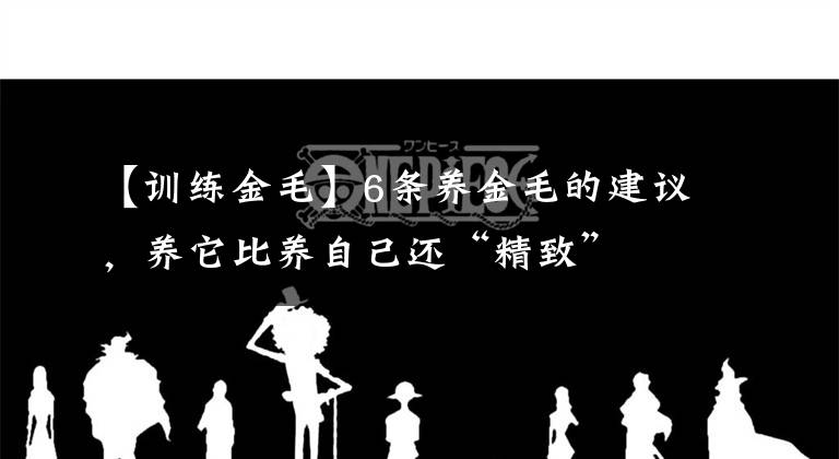 【训练金毛】6条养金毛的建议，养它比养自己还“精致”