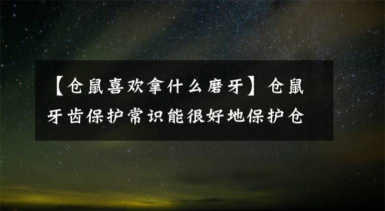 【仓鼠喜欢拿什么磨牙】仓鼠牙齿保护常识能很好地保护仓鼠最重要的部位文章配图