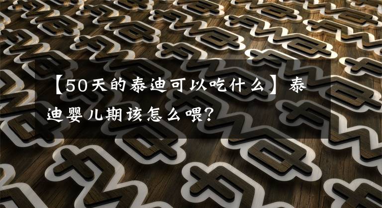 【50天的泰迪可以吃什么】泰迪婴儿期该怎么喂？文章配图