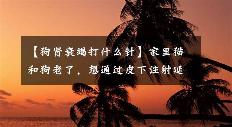 【狗肾衰竭打什么针】家里猫和狗老了，想通过皮下注射延续生命，怎么会有那么神奇的方法呢？文章配图