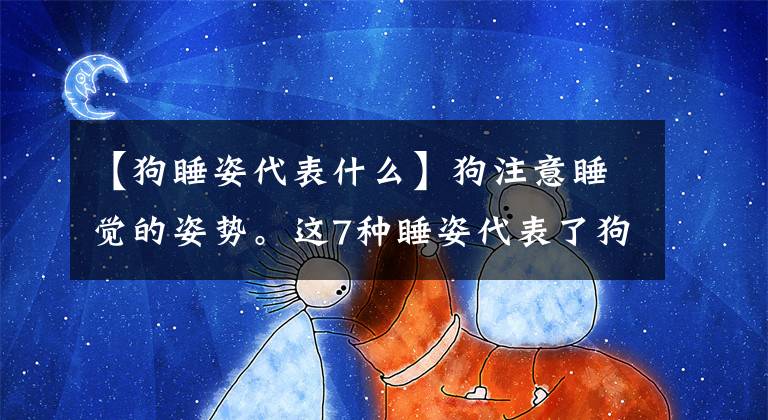 【狗睡姿代表什么】狗注意睡觉的姿势。这7种睡姿代表了狗的不同性格。你家的狗是什么人文章配图