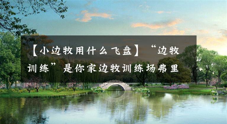 【小边牧用什么飞盘】“边牧训练”是你家边牧训练场弗里斯比狗夺冠的技巧和方法。文章配图