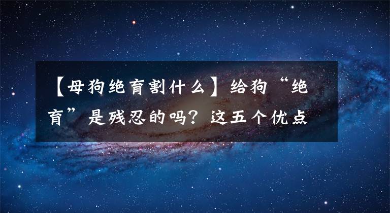 【母狗绝育割什么】给狗“绝育”是残忍的吗？这五个优点，事实上，这是“拯救它”。文章配图