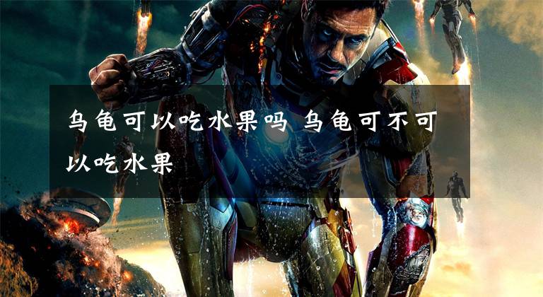乌龟可以吃水果吗 乌龟可不可以吃水果文章配图