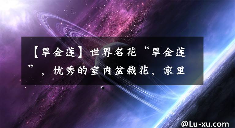 【旱金莲】世界名花“旱金莲”，优秀的室内盆栽花，家里养一盆，四季有花看