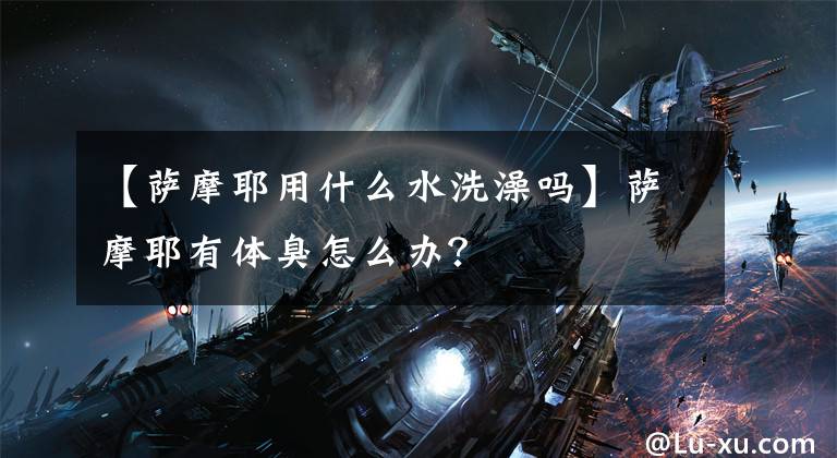 【萨摩耶用什么水洗澡吗】萨摩耶有体臭怎么办？文章配图