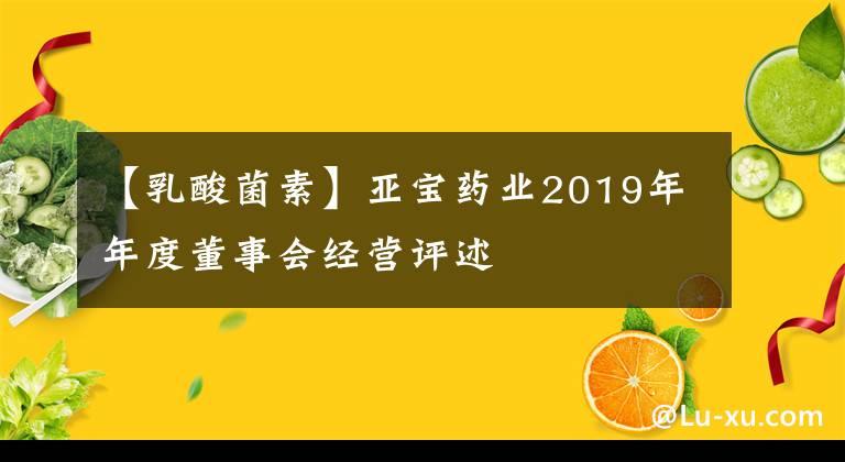 【乳酸菌素】亚宝药业2019年年度董事会经营评述