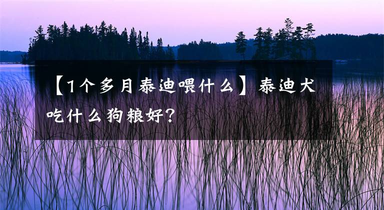 【1个多月泰迪喂什么】泰迪犬吃什么狗粮好？文章配图