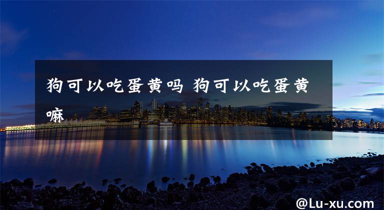 狗可以吃蛋黄吗 狗可以吃蛋黄嘛文章配图