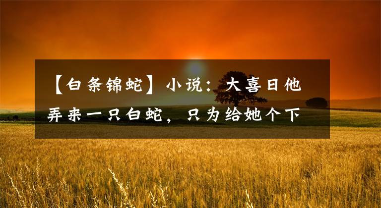 【白条锦蛇】小说：大喜日他弄来一只白蛇，只为给她个下马威，大家却被吓得尖叫失声