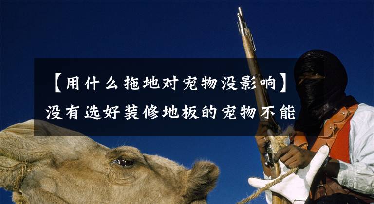 【用什么拖地对宠物没影响】没有选好装修地板的宠物不能提出防刮猫狗喜欢的四种地板推荐。文章配图
