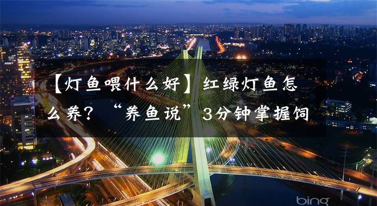 【灯鱼喂什么好】红绿灯鱼怎么养？“养鱼说”3分钟掌握饲养、繁殖、治疗技术文章配图