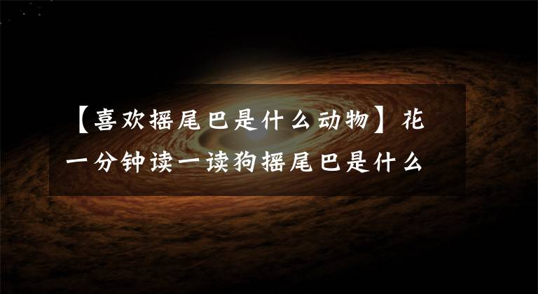 【喜欢摇尾巴是什么动物】花一分钟读一读狗摇尾巴是什么意思！文章配图