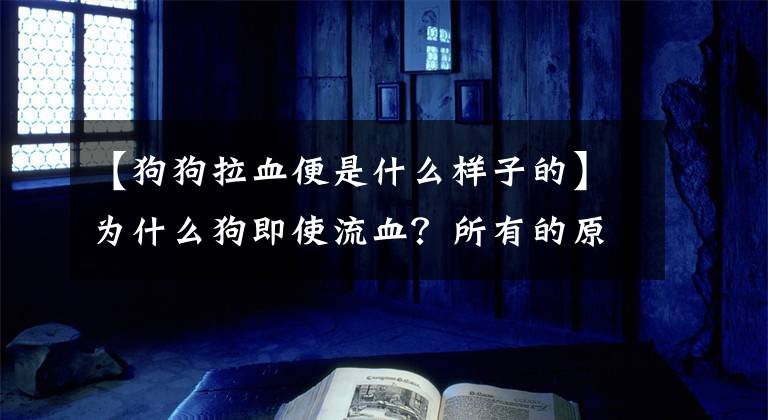 【狗狗拉血便是什么样子的】为什么狗即使流血？所有的原因都在这里，可能是饮食不当和压力过大造成的。文章配图