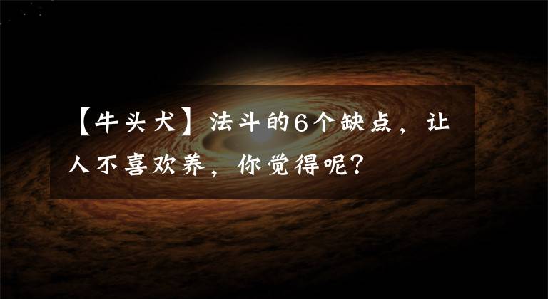 【牛头犬】法斗的6个缺点，让人不喜欢养，你觉得呢？