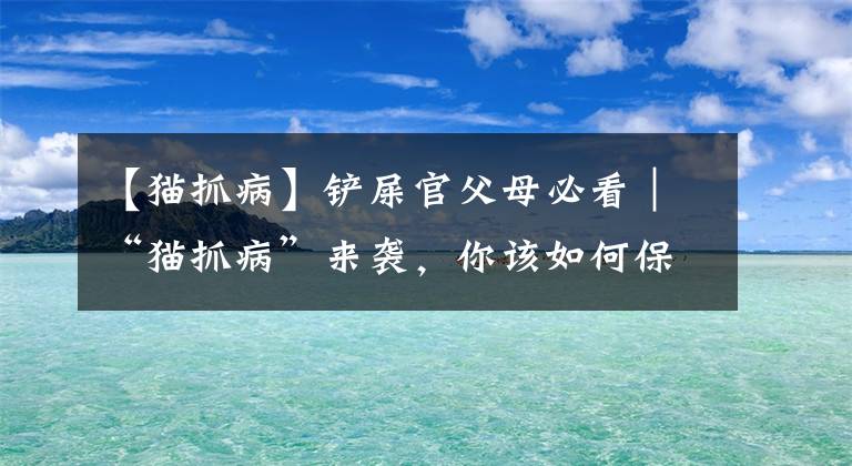 【猫抓病】铲屎官父母必看｜“猫抓病”来袭，你该如何保护孩子？