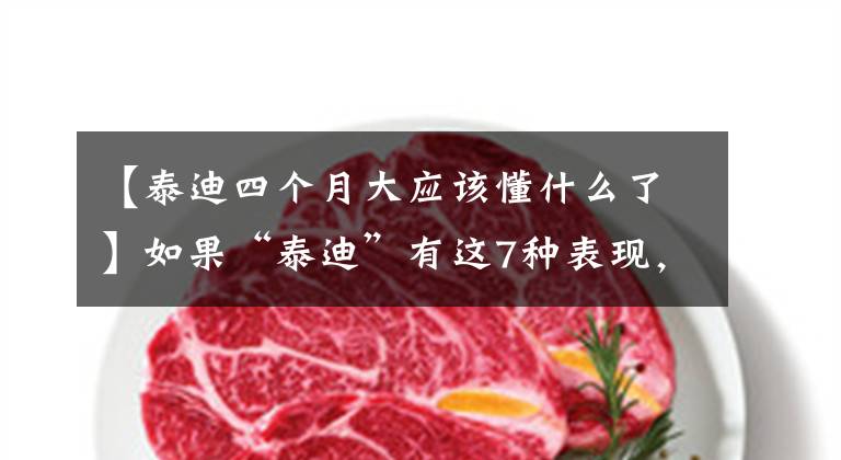 【泰迪四个月大应该懂什么了】如果“泰迪”有这7种表现，就意味着那个家教很好，你家泰迪中有几个。文章配图