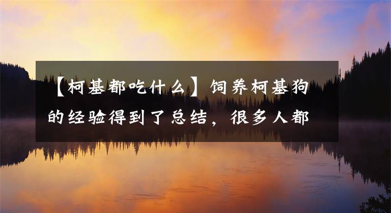 【柯基都吃什么】饲养柯基狗的经验得到了总结，很多人都说看完很难，何况是养的。文章配图