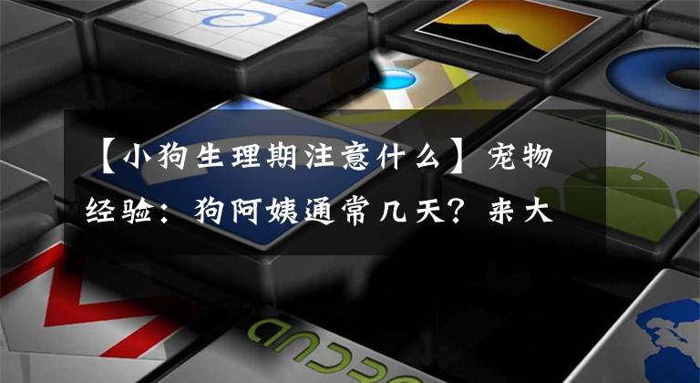 【小狗生理期注意什么】宠物经验：狗阿姨通常几天？来大姨妈后该怎么护理？文章配图