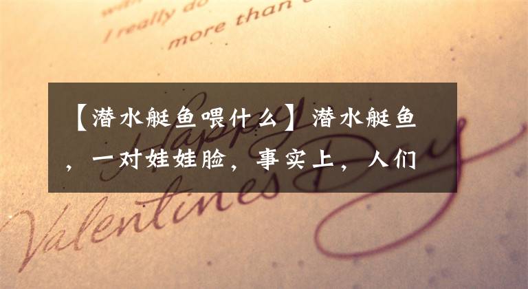 【潜水艇鱼喂什么】潜水艇鱼，一对娃娃脸，事实上，人们都很凶！文章配图