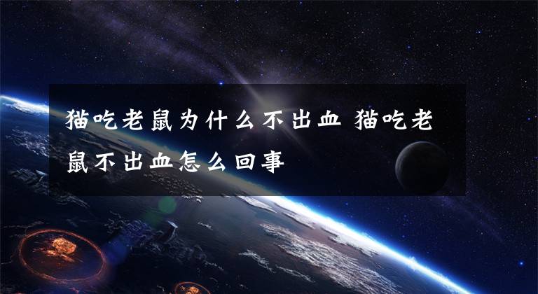 猫吃老鼠为什么不出血 猫吃老鼠不出血怎么回事文章配图