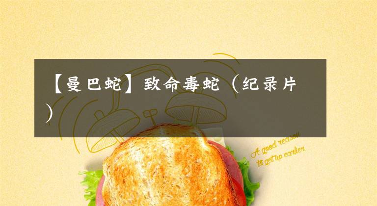 【曼巴蛇】致命毒蛇（纪录片）文章配图