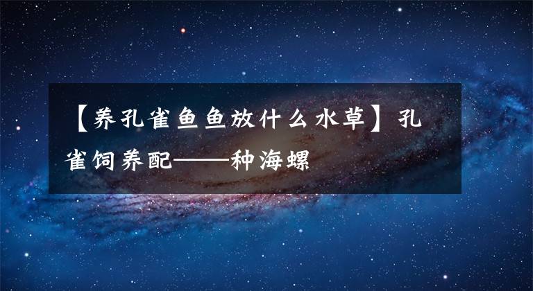 【养孔雀鱼鱼放什么水草】孔雀饲养配——种海螺文章配图