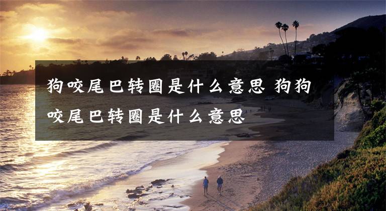 狗咬尾巴转圈是什么意思 狗狗咬尾巴转圈是什么意思文章配图