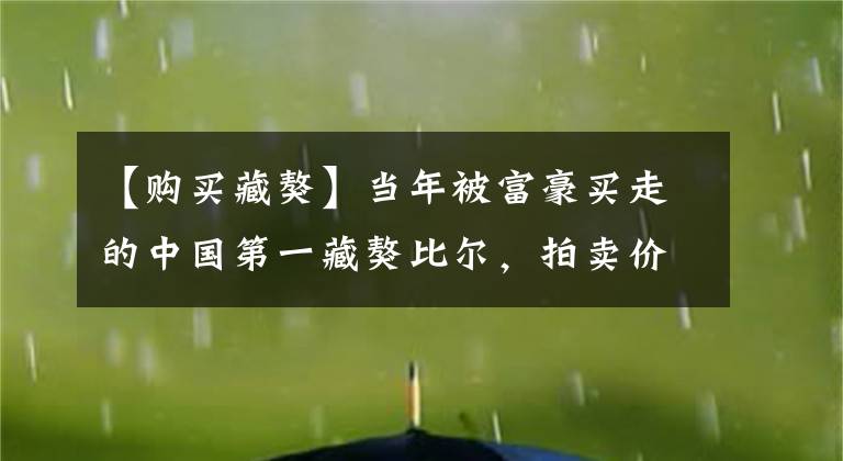 【购买藏獒】当年被富豪买走的中国第一藏獒比尔，拍卖价值3000万结果怎样了？