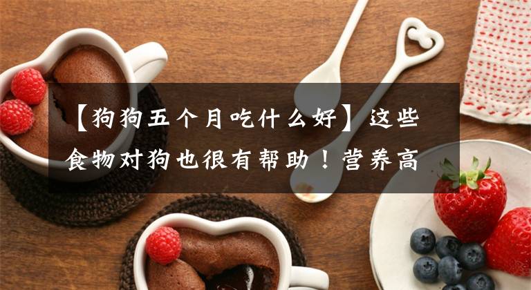 【狗狗五个月吃什么好】这些食物对狗也很有帮助！营养高，便宜文章配图