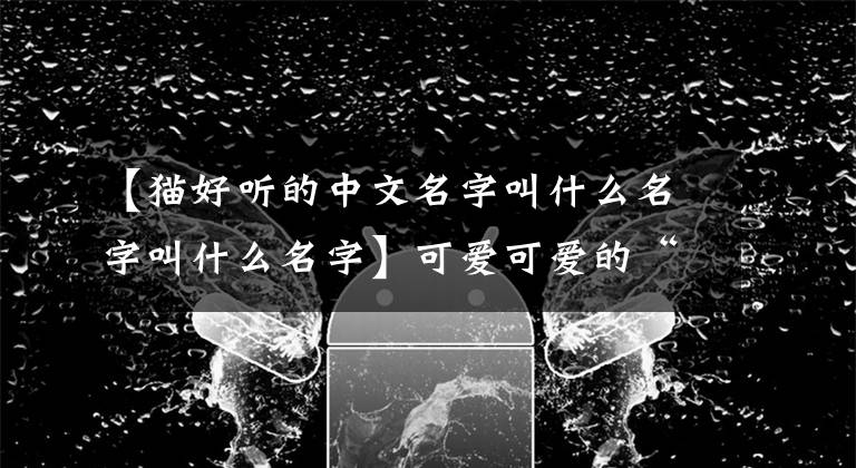 【猫好听的中文名字叫什么名字叫什么名字】可爱可爱的“猫名”51个，叫吧，整天贴着。文章配图